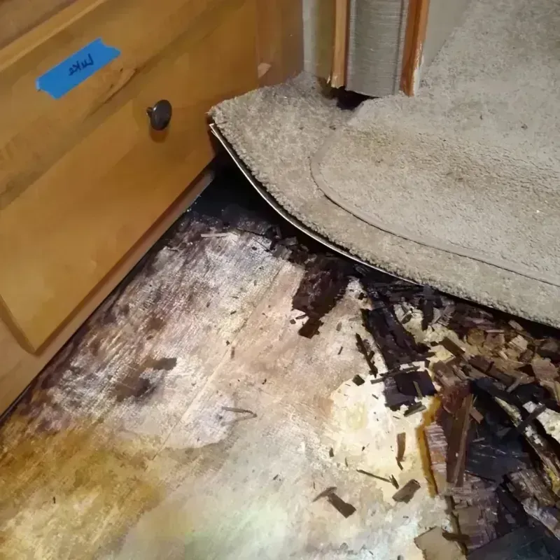 Best Wood Floor Water Damage Service in Lake Shore, WA